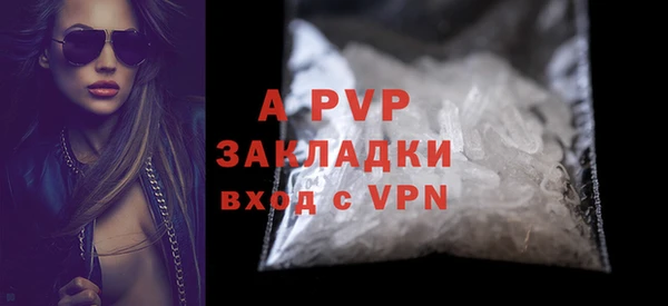 крисы Баксан