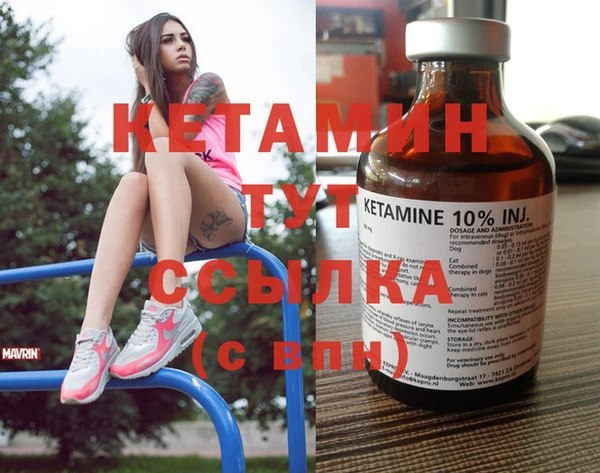 крисы Баксан