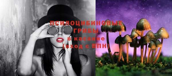 крисы Баксан